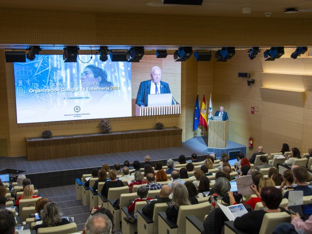 01Pérez Raya, durante su intervención en la jornada